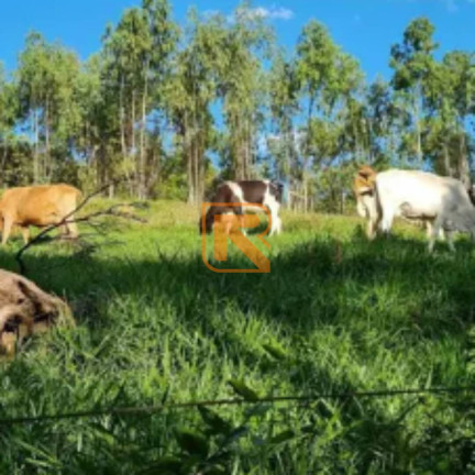 Imagem Fazenda à Venda, 92 m² em Go 319 - Aragoiânia Imagem Fazenda à Venda, 92 m² em Go 319 - Aragoiânia