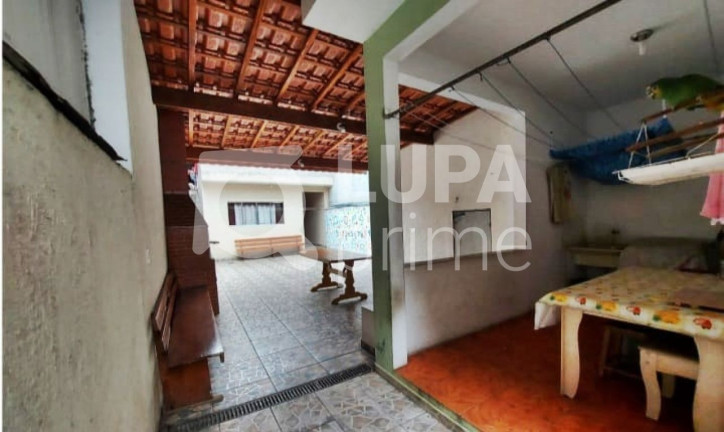 Imagem Casa com 8 Quartos à Venda, 251 m² em Vila Maria - São Paulo Imagem Casa com 8 Quartos à Venda, 251 m² em Vila Maria - São Paulo