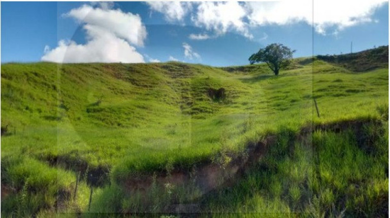 Terreno à Venda, 30.000 m²