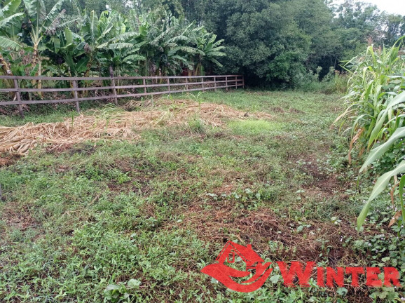Imagem Terreno à Venda, 360 m² em Centro - Tupandi Imagem Terreno à Venda, 360 m² em Centro - Tupandi