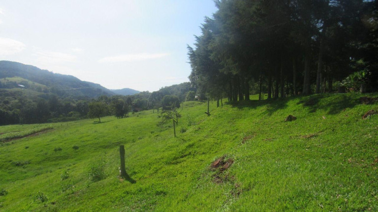 Imagem Terreno à Venda, 177.000 m² em Interior - Concórdia Imagem Terreno à Venda, 177.000 m² em Interior - Concórdia