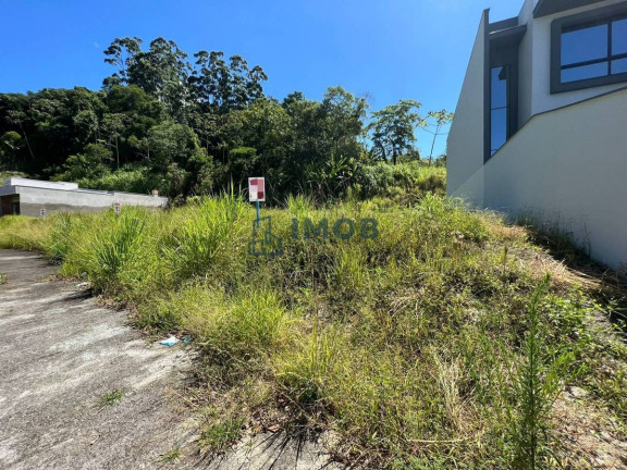 Terreno à Venda, 351 m² em Ilha Da Figueira - Jaraguá Do Sul