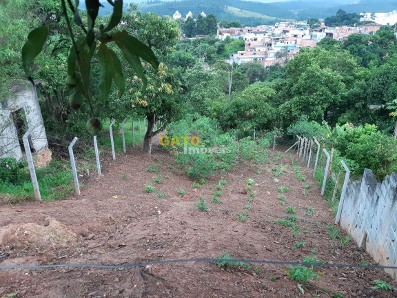 Imagem Terreno à Venda, 382 m² em Panorama (polvilho) - Cajamar Imagem Terreno à Venda, 382 m² em Panorama (polvilho) - Cajamar