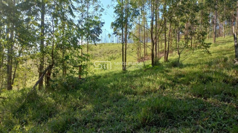 Imagem Imóvel com 2 Quartos à Venda, 266.000 m² em Branco - Lavrinhas