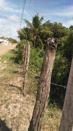 Imagem Terreno à Venda, 3.020 m² em Tibau Do Sul