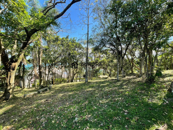 Imagem Terreno à Venda, 199 m² em Estaleirinho - Balneário Camboriú Imagem Terreno à Venda, 199 m² em Estaleirinho - Balneário Camboriú