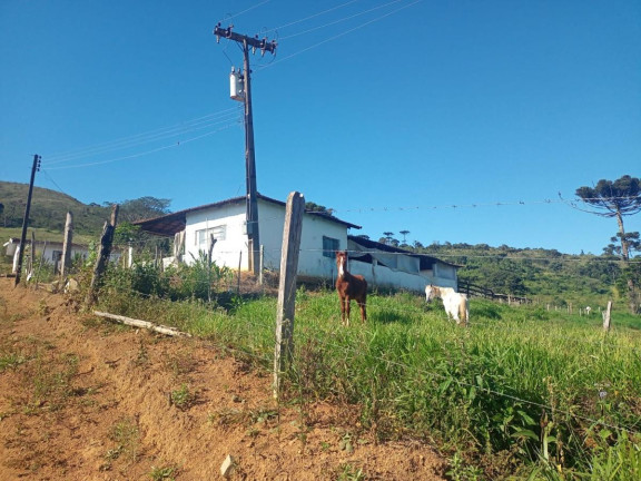 Imagem Chácara com 4 Quartos à Venda, 443 m² em Pitangueiras - Caldas