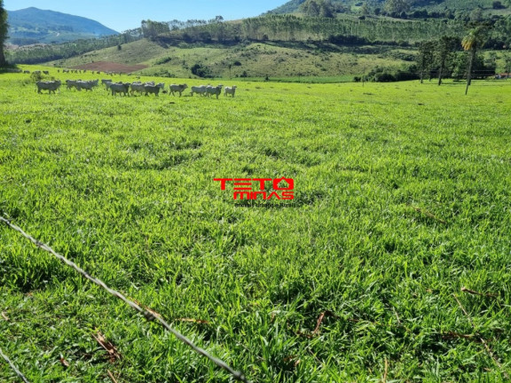 Imagem Imóvel à Venda, 360 m² em Zona Rural - Poços De Caldas Imagem Imóvel à Venda, 360 m² em Zona Rural - Poços De Caldas