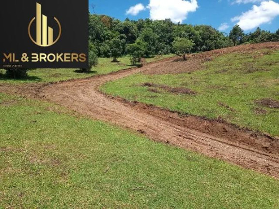 Imagem Imóvel à Venda, 10.000 m² em Centro - Bocaiuva Do Sul