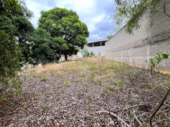 Imagem Imóvel à Venda, 450 m² em Fátima Cidade Jardim - Guarapari Imagem Imóvel à Venda, 450 m² em Fátima Cidade Jardim - Guarapari