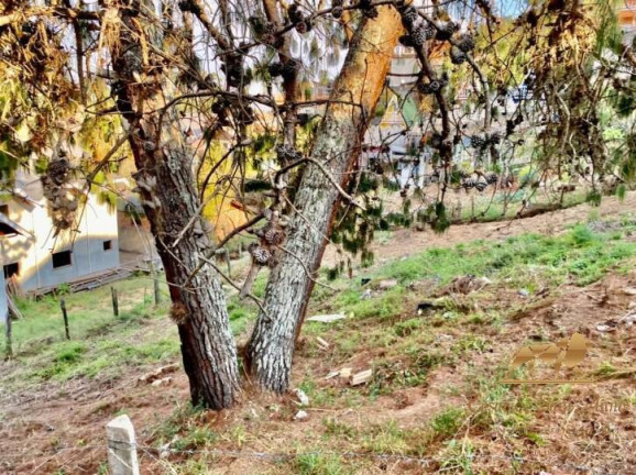 Imagem Terreno à Venda, 360 m² em Jardim Márcia - Campos Do Jordão