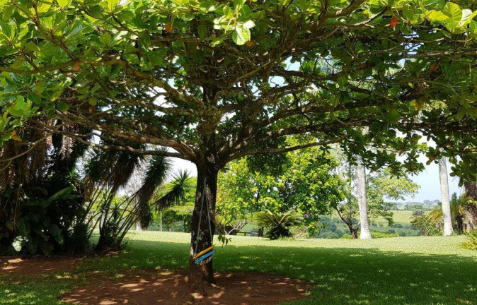 Imagem Chácara com 8 Quartos à Venda, 5 m² em Recanto Maravilha - Boituva