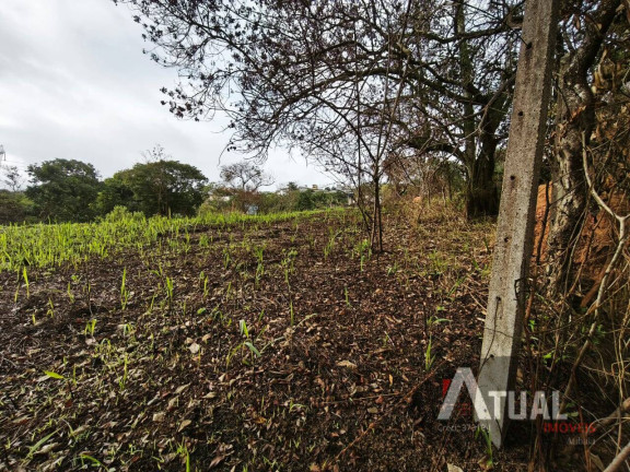 Terreno à Venda, 353 m² em Jundiaizinho (terra Preta) - Mairiporã