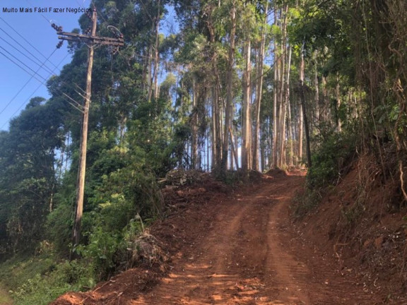 Imagem Terreno à Venda, 3 m² em Linha Olinda - Nova Petrópolis