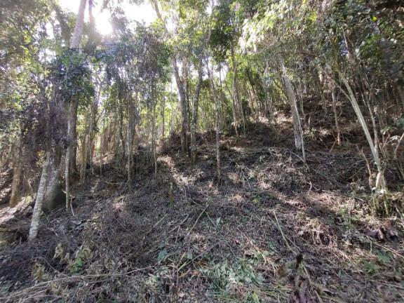 Imagem Terreno à Venda, 2.500 m² em Albuquerque - Teresópolis Imagem Terreno à Venda, 2.500 m² em Albuquerque - Teresópolis