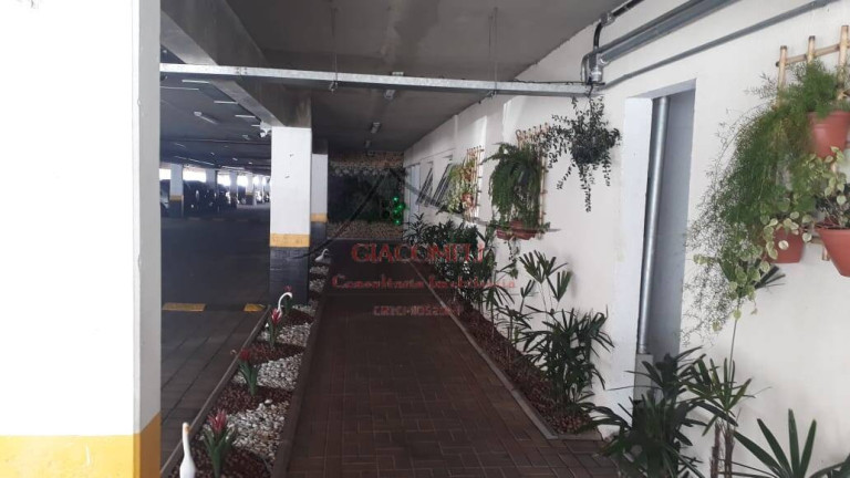 Imagem Apartamento com 1 Quarto à Venda, 33 m² em Jardim Santa Terezinha (zona Leste) - São Paulo