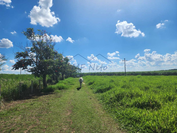 Imagem Fazenda à Venda, 9 m² em Santa Tereza - Pirassununga Imagem Fazenda à Venda, 9 m² em Santa Tereza - Pirassununga