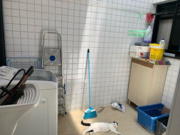 Imagem Apartamento com 2 Quartos à Venda, 50 m² em São Miguel Paulista - São Paulo Imagem Apartamento com 2 Quartos à Venda, 50 m² em São Miguel Paulista - São Paulo