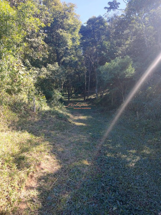 Terreno à Venda, 1.000 m²