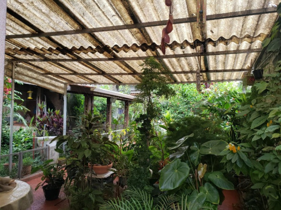 Imagem Casa com 3 Quartos à Venda, 500 m² em Vila Cordeiro - São Paulo