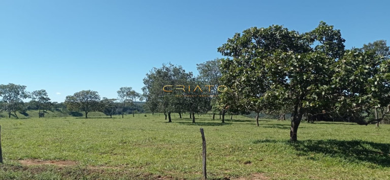 Imóvel com 2 Quartos à Venda, 240.000 m² em Zona Rural - Anápolis