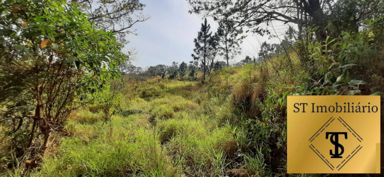 Imagem Chácara com 3 Quartos à Venda, 72.000 m² em Estância Santa Maria Do Portão - Atibaia Imagem Chácara com 3 Quartos à Venda, 72.000 m² em Estância Santa Maria Do Portão - Atibaia