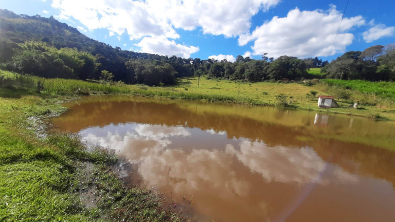 Imagem Chácara com 10 Quartos à Venda, 186.000 m² em Agudo Dos Frias - Bragança Paulista Imagem Chácara com 10 Quartos à Venda, 186.000 m² em Agudo Dos Frias - Bragança Paulista
