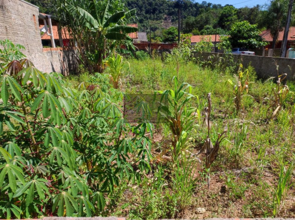 Imagem Terreno à Venda, 261 m² em Jardim Santo Antonio - Tomazina Imagem Terreno à Venda, 261 m² em Jardim Santo Antonio - Tomazina