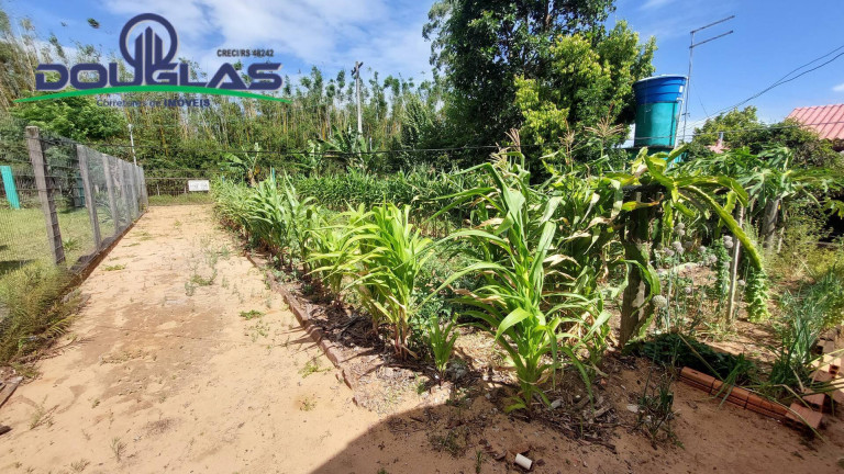 Imagem Terreno à Venda, 440 m² em águas Claras - Viamão Imagem Terreno à Venda, 440 m² em águas Claras - Viamão