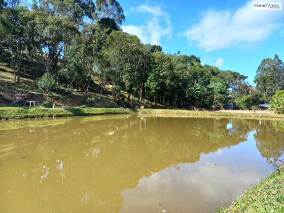 Imagem Chácara à Venda, 8.000 m² em Zona Rural - Quatro Barras Imagem Chácara à Venda, 8.000 m² em Zona Rural - Quatro Barras