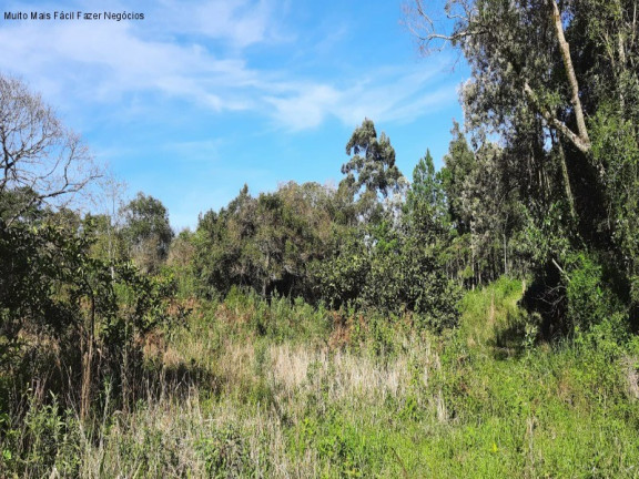 Imagem Terreno à Venda, 1 m² em Br 116 - Nova Petrópolis Imagem Terreno à Venda, 1 m² em Br 116 - Nova Petrópolis