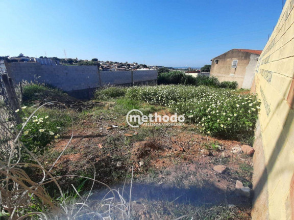 Imagem Terreno à Venda, 279 m² em Jardim Nova Europa - Campinas Imagem Terreno à Venda, 279 m² em Jardim Nova Europa - Campinas