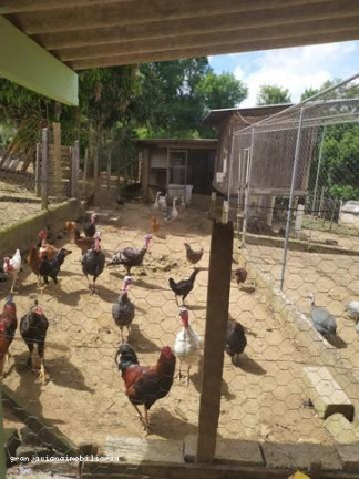 Imagem Chácara à Venda,  em Bairro Da Vargem Do Salto - Ibiúna