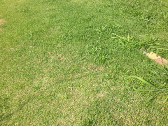 Terreno à Venda, 504 m² em Granja Viana - Cotia