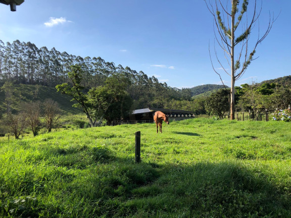 Imagem Fazenda à Venda, 300 m² em Pouso Alto - Paraibuna Imagem Fazenda à Venda, 300 m² em Pouso Alto - Paraibuna