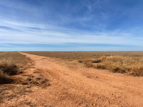 Imagem Fazenda à Venda, 1.530 m² em Zona Rural - Caldas Novas Imagem Fazenda à Venda, 1.530 m² em Zona Rural - Caldas Novas