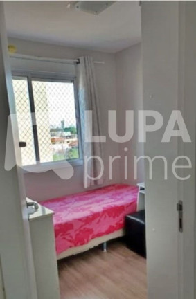 Imagem Apartamento com 2 Quartos à Venda, 45 m² em Vila Maria - São Paulo