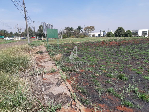Terreno à Venda, 2.377 m² em Residencial Dona Margarida - Santa Bárbara D'oeste