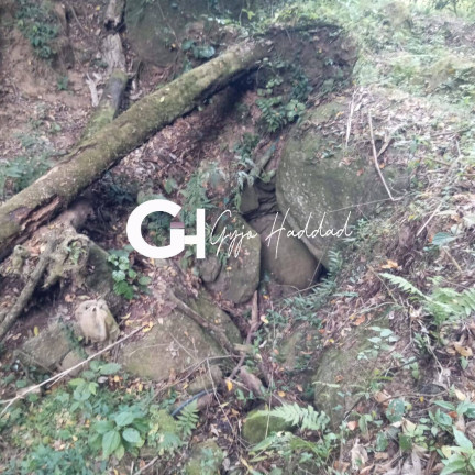 Imagem Terreno à Venda, 3.690 m² em Piedade