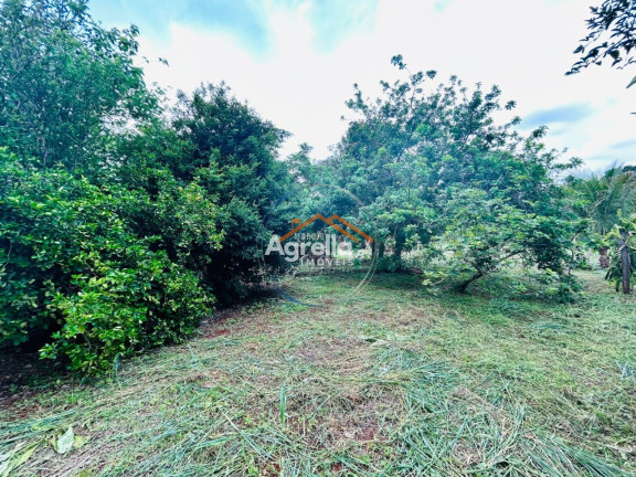 Imagem Imóvel com 1 Quarto à Venda, 25 m² em Chácara Cachoeira - Mogi Mirim Imagem Imóvel com 1 Quarto à Venda, 25 m² em Chácara Cachoeira - Mogi Mirim