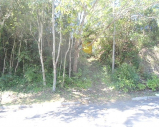Terreno à Venda, 1.044 m² em Centro - Nova Petrópolis