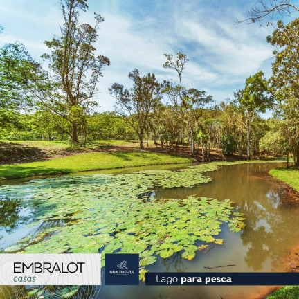 Imagem Terreno à Venda, 600 m² em Distrito Rio Do Meio - Camboriú Imagem Terreno à Venda, 600 m² em Distrito Rio Do Meio - Camboriú
