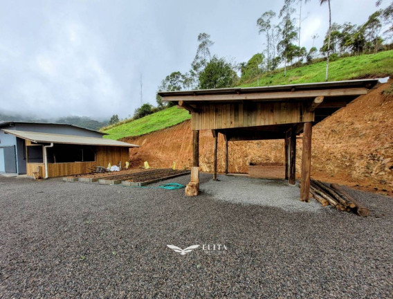 Imagem Chácara à Venda, 24.900 m² em Três Rios Do Norte - Jaraguá Do Sul