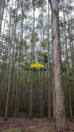 Imagem Fazenda à Venda, 241 m² em Guaratinguetá Imagem Fazenda à Venda, 241 m² em Guaratinguetá