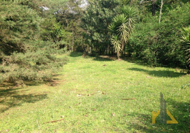 Imagem Apartamento com 3 Quartos à Venda, 4.592 m² em Centro - Campina Grande Do Sul Imagem Apartamento com 3 Quartos à Venda, 4.592 m² em Centro - Campina Grande Do Sul