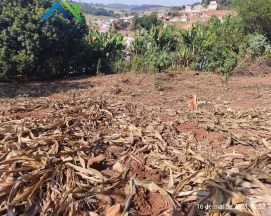 Terreno à Venda, 250 m² em Nova Trieste - Jarinu