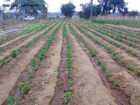 Imagem Fazenda à Venda, 52 m² em Florestal Imagem Fazenda à Venda, 52 m² em Florestal