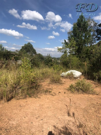 Imagem Terreno à Venda, 61.861 m² em Terra Preta (terra Preta) - Mairiporã Imagem Terreno à Venda, 61.861 m² em Terra Preta (terra Preta) - Mairiporã