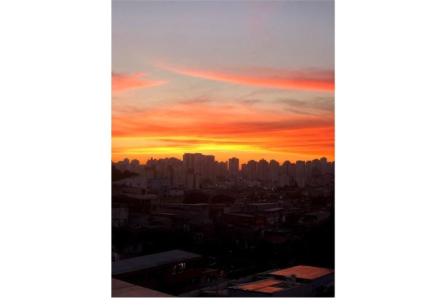 Imagem Imóvel com 3 Quartos à Venda,  em Vila água Funda - São Paulo