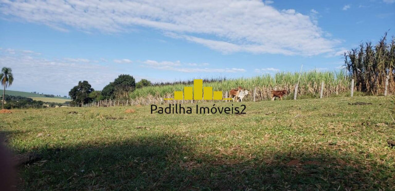 Imagem Chácara à Venda, 4 m² em Rural - Angatuba Imagem Chácara à Venda, 4 m² em Rural - Angatuba